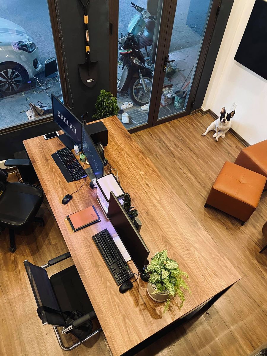 5 phương án cải tạo nhà cấp 4 đẹp, tối ưu kèm báo giá | V.AI STUDIO