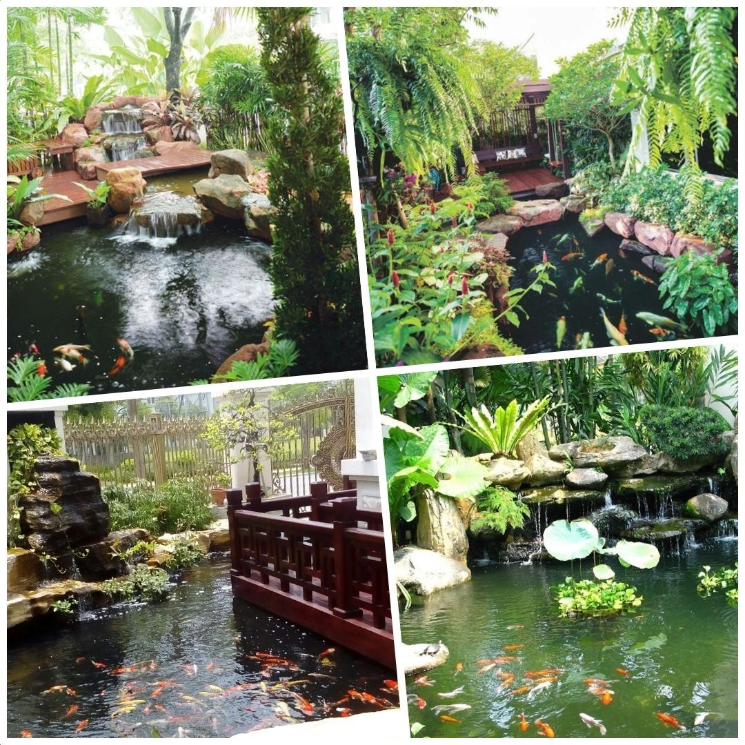 Hướng dẫn thiết kế hồ cá đẹp, hài hòa phong thủy cho mọi không gian | V.AI STUDIO