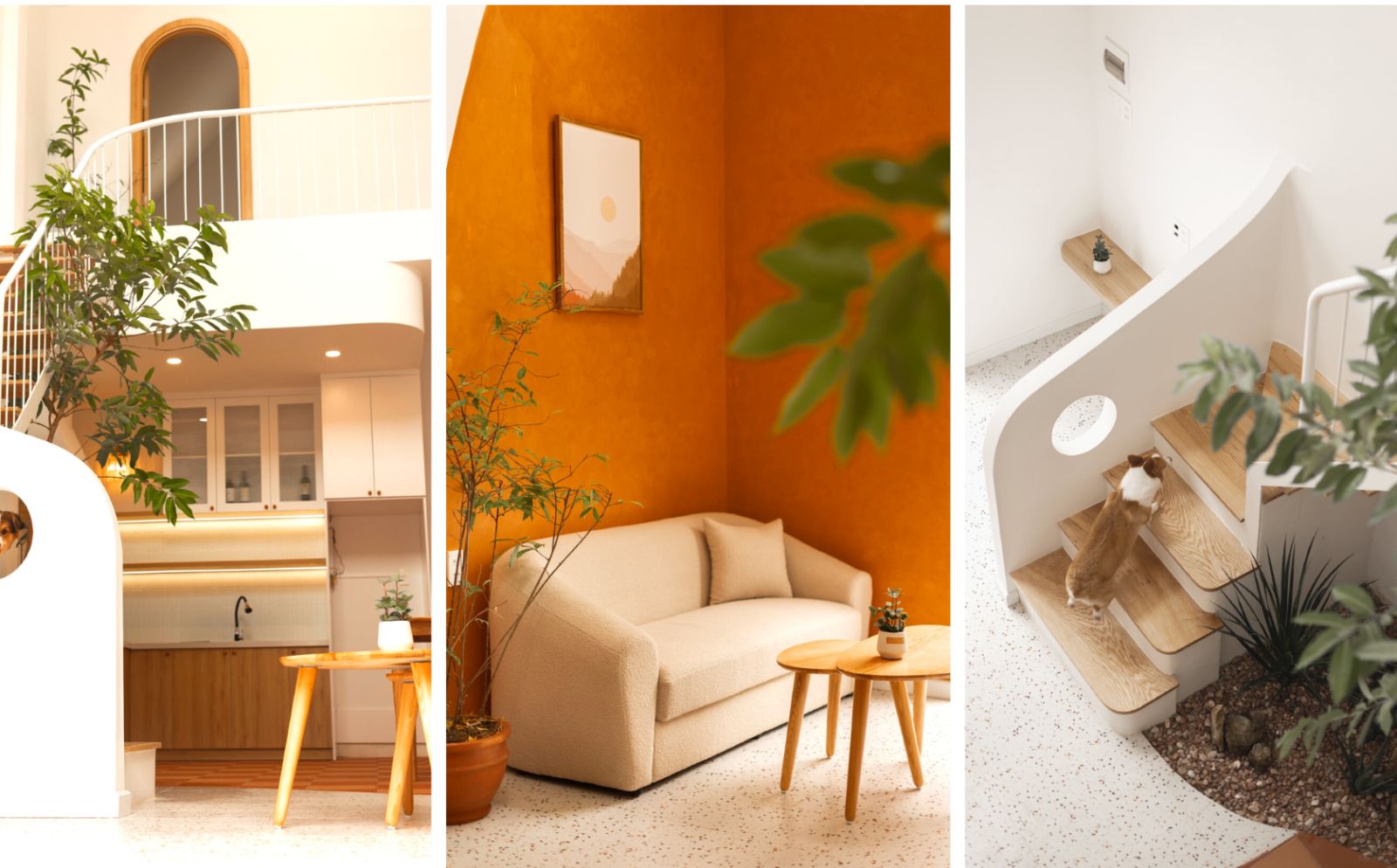 5 phương án cải tạo nhà cấp 4 đẹp, tối ưu kèm báo giá | V.AI STUDIO