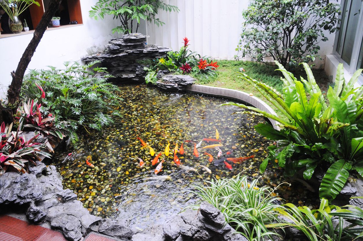 Cập nhật báo giá thi công hồ cá koi đẹp từ các đơn vị thi công uy tín nhất | V.AI STUDIO