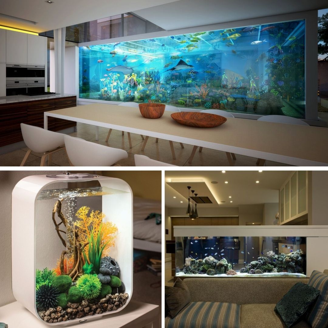 Hướng dẫn thiết kế hồ cá đẹp, hài hòa phong thủy cho mọi không gian | V.AI STUDIO